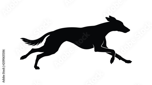 Foto Running greyhound dog in dynamic pose black silhouette