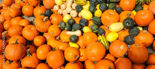 Fotografie Pile of pumpkins
