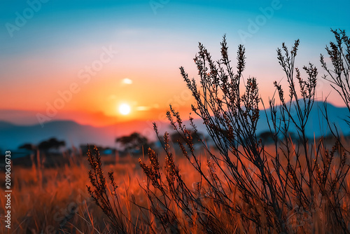 Sunset Over Dry Grass Field with Distant Mountains