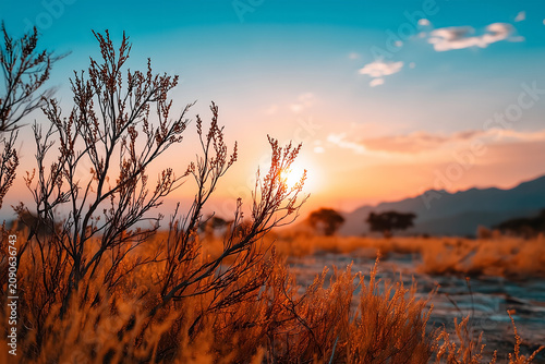 Desert Landscape at Sunset with Mountain Horizon