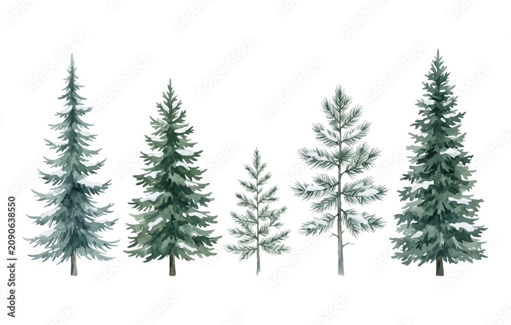 Obraz premium Watercolor Pine Trees Vector Set Forest Winter Christmas Illustration
