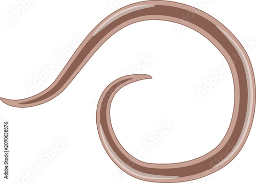Fotografie Parasite Curve