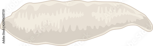 Canvastavla Schistocephalus Solidus