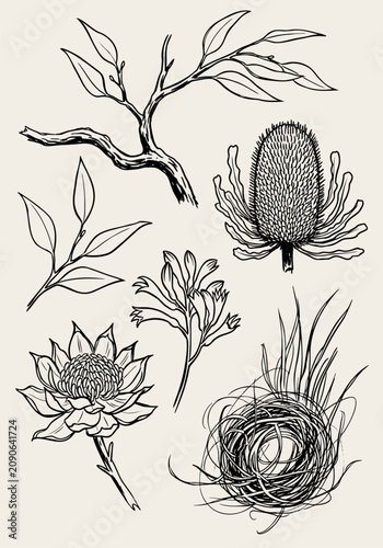 Ink hand drawn botanical elements collection with flowers, leaves, a branch, and a nest on a light background