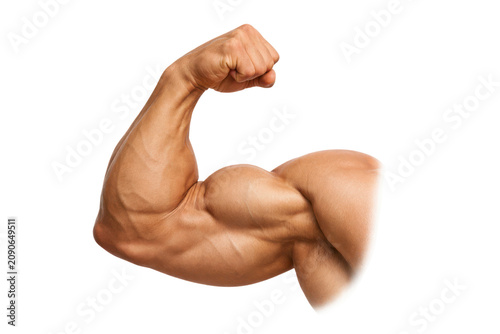 Muscular flexed arm biceps, strong male bodybuilder muscle definition, fitness strength training concept photo isolated PNG with Transparent Background