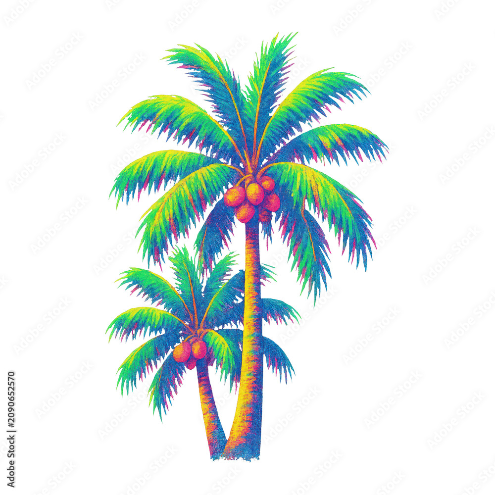 Obraz premium PNG Vibrant tropical palm trees illustration.