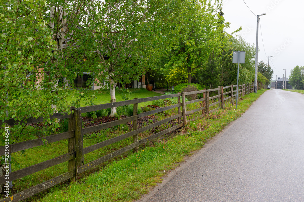 Fototapeta premium Quiet rural road in Krakow outskirts, Poland, bordered by wooden fence, wet asphalt, green grass and silver birch trees, Betula pendula. Fresh spring countryside scene after rain with garden greenery.