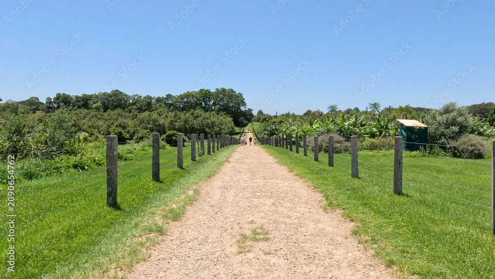 Naklejka premium Symmetrical Gravel Path Lined with Wooden Fence Posts in Byron Bay
