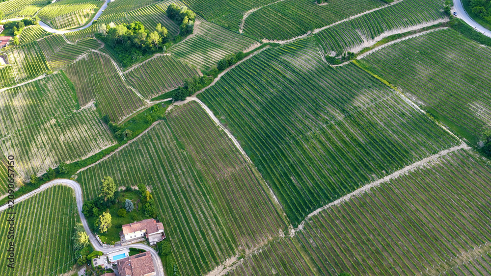 Fototapeta premium Aerial View of Rolling Green Vineyards and Rural Farmhouse in Italy