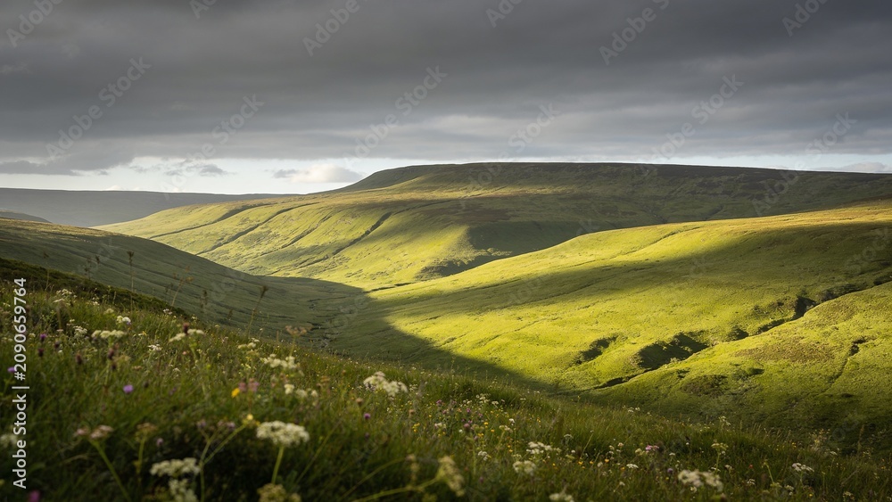 Obraz premium Sweeping green hills illuminated by patches of golden sunlight under a brooding overcast sky, with delicate wildflowers in the foreground, perfect for conveying solitude and rural tranquility in edito