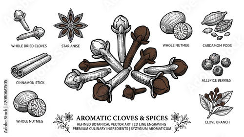 Konstfotografi Aromatic Spices Collection: Cloves, Nutmeg, Cinnamon, Star Anise, Allspice, Card