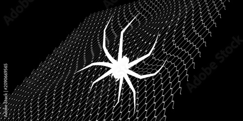 Schilderij op canvas Collection of black widow spiders and webs in various poses Vector, illustration