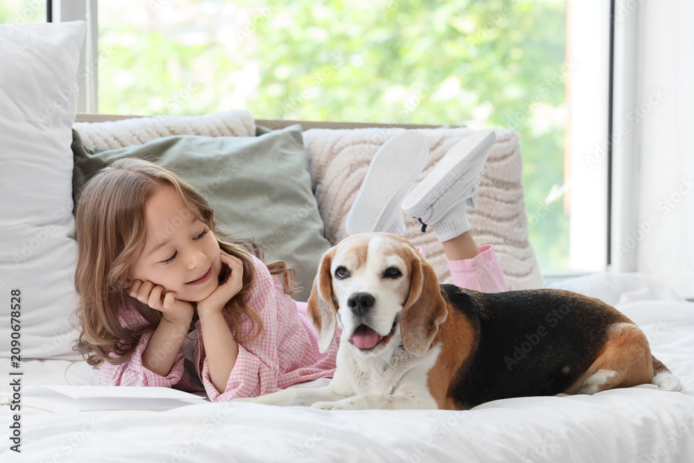 Obraz premium Cute little girl with Beagle dog reading book on bed in bedroom