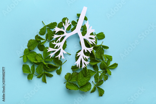 Lungs made of paper and lea...