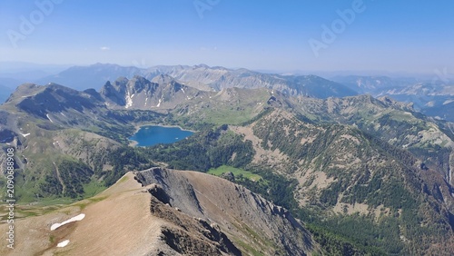 allos