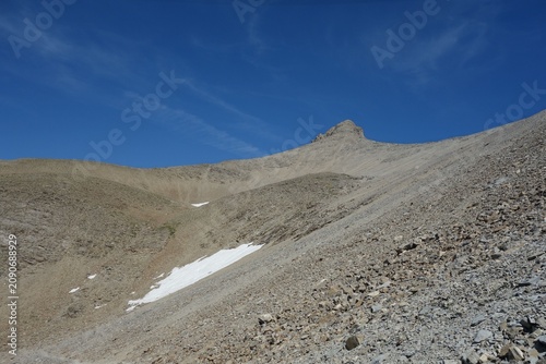 allos