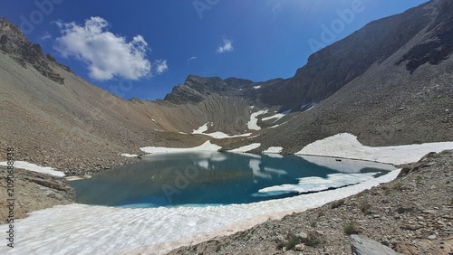 allos