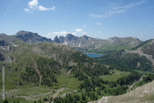 allos