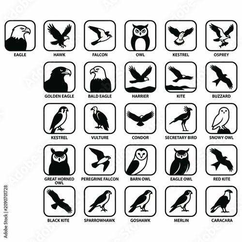 Collection of black and white icons featuring various birds of prey with their names.