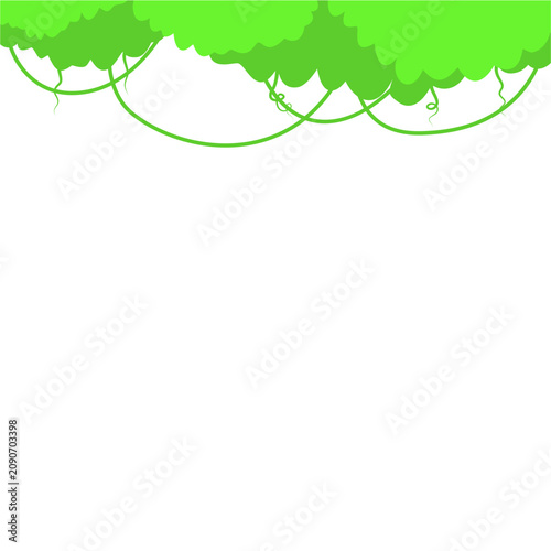 Forest Leaves Border