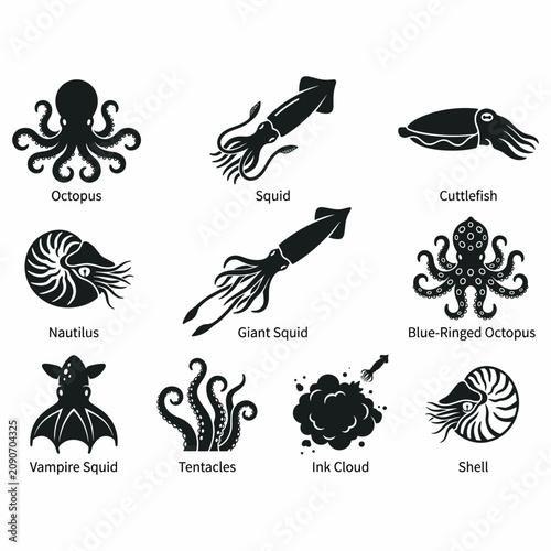 Set of black silhouette icons depicting various cephalopods like octopus, squid, cuttlefish, nautilus, and related elements such as tentacles, ink cloud, and shell.