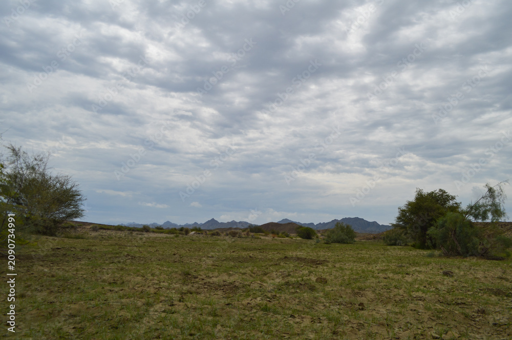 Fototapeta premium Grassland clouds over the forest landscape