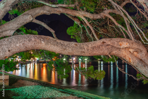 Nighttime scene shows a tree with sprawling branches framing tranquil, illuminated sea, reflecting colorful lights from distant shore and boats. Croatia, Brella