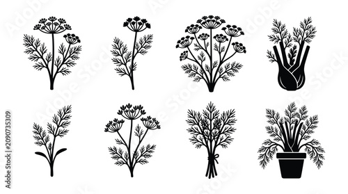 Bild auf Leinwand Fennel Bulb and Flowering Herb Plants Silhouette Icon Set, Isolated Potted Garde