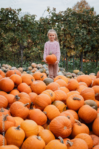 Obraz na płótnie Young blond girl stands smiling with pumpkin in rural outdoor patch, framed by h