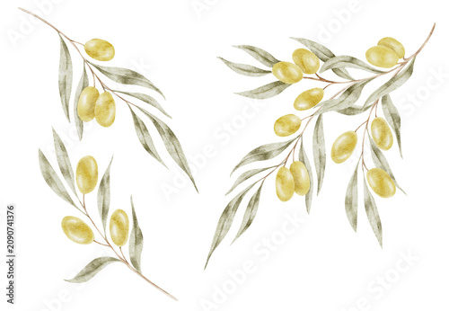 Green olive leaves and golden olives watercolor clipart composition with separate branches for wedding invitations, cosmetic packaging, greeting cards, restaurant menus, branding and stationery.
