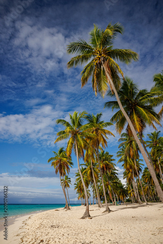 Playa Canto de la Playa, Saona Island, Dominican Republic, Caribbean,