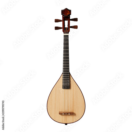 Close-up of a dan bau, a traditional vietnamese monochord zither on white background