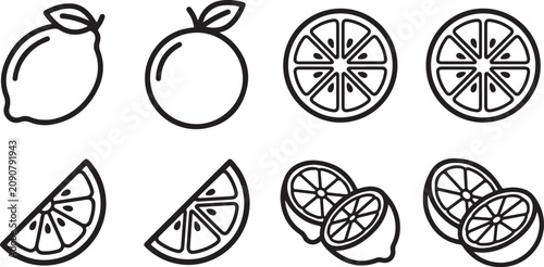 Fotografie Flat style citrus fruits icon set illustration