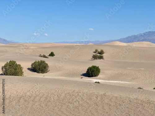 Death Valley Sand Dunes, California, USA