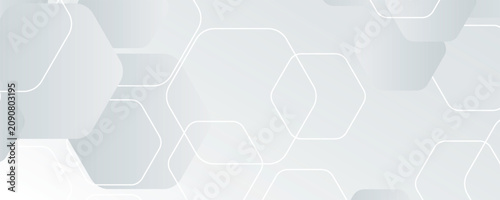 Konstfotografi White background abstract art vector illustration with hexagon shape