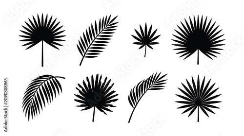 Palm and fan frond tropical leaf silhouette vector set isolated on white background. Black exotic jungle foliage icons for summer beach party decorations and safari branding.