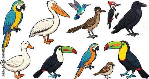 Photography Beautiful wild birds cartoon vector illustration set with parrot toucan pelican