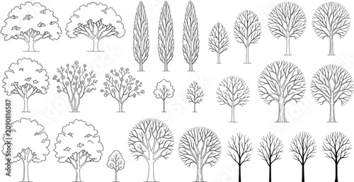 Quadro em tela Collection of Tree Line Art Technical Sketches Showing Diverse Botanical Silhoue