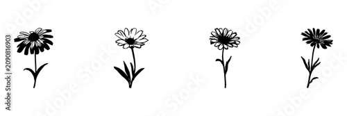 Daisy Flowers In Hand Drawn Style Set. Botanical Doodle Sketch Collection. Floral Decoration And Design Elements. Isolated Vector Illustration