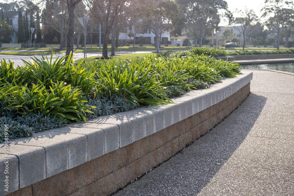 Obraz premium A long, curving raised garden bed built from textured interlocking retaining wall blocks spans alongside a public concrete footpath. A landscaped buffer between walking path and a residential street