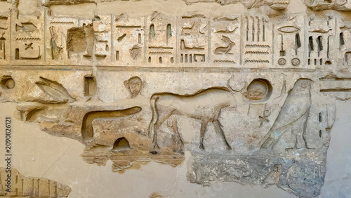 Картината върху платно Beautiful bas-reliefs and ancient hieroglyphs from the mortuary temple of Ramesses III at Medinet Habu, Luxor, Egypt