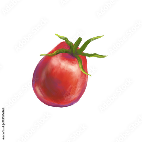 Hand Painted Red Tomato Isolated on Transparent Background, Fresh Garden Vegetable Illustration
