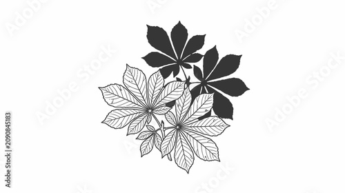 Quadro su tela Horse chestnut leaf cluster in line art and silhouette style
