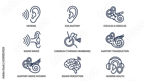 Obraz na płótnie Ear Anatomy and Hearing Health Icons: Sound Waves, Cochlea, Brain, Auditory Path