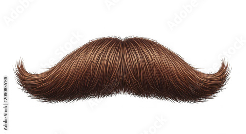 Brown handlebar mustache isolated on a transparent background brown hair facial hair whiskers