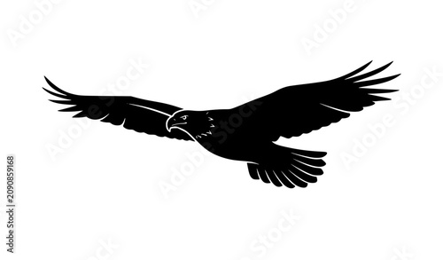 Foto Eagle Flying Silhouette Vector Illustration, Black Bird of Prey with Spread Wing