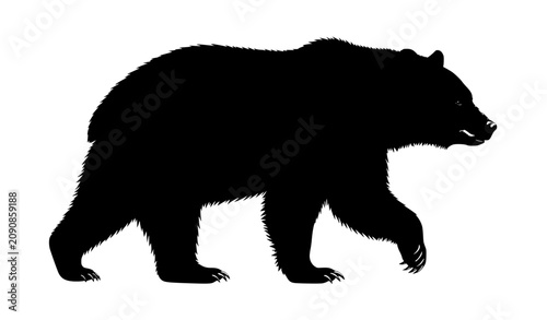 Fotografía Bear Silhouette Vector Illustration, Black Walking Grizzly Bear Isolated on Whit