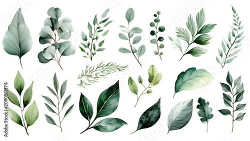 Watercolor Green Leaves Botanical Set