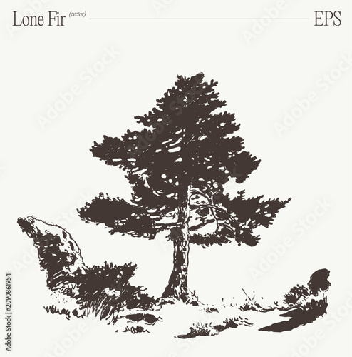 Foto Lone fir tree on rocky ground, hand drawn sketch illustration