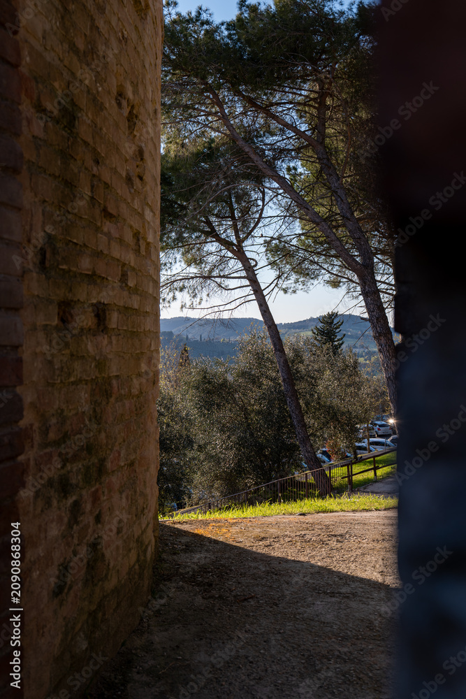 Obraz premium Shaded outdoor view through trees overlooking the Tuscan landscape and distant hills. A calm countryside scene with natural light and rustic atmosphere.